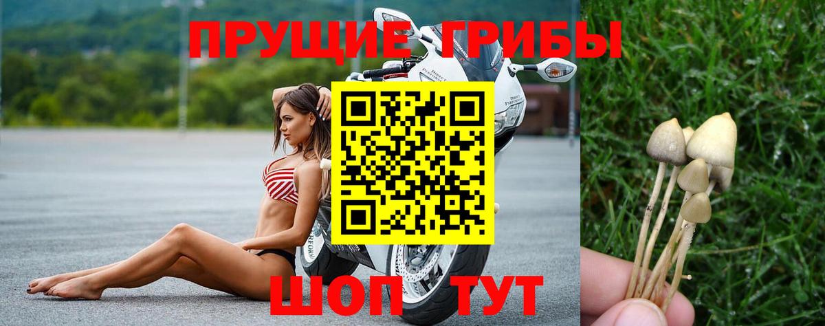 Губаха  Псилоцибиновые грибы прущие грибы  Вход с VPN 