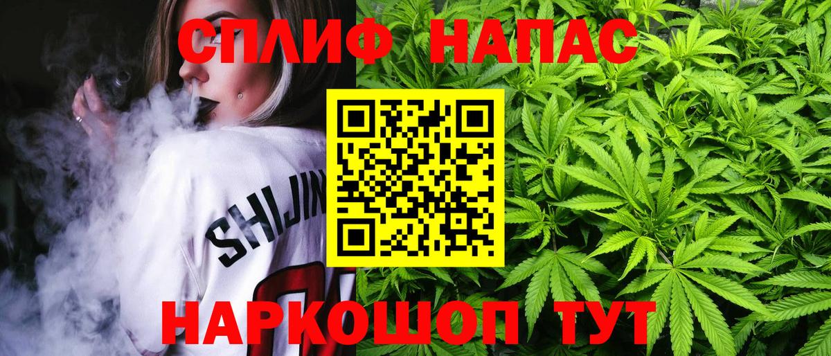 Конопля гибрид  Конопля THC 21%  Марихуана планчик  Губаха  Вход с VPN  Конопля семена 